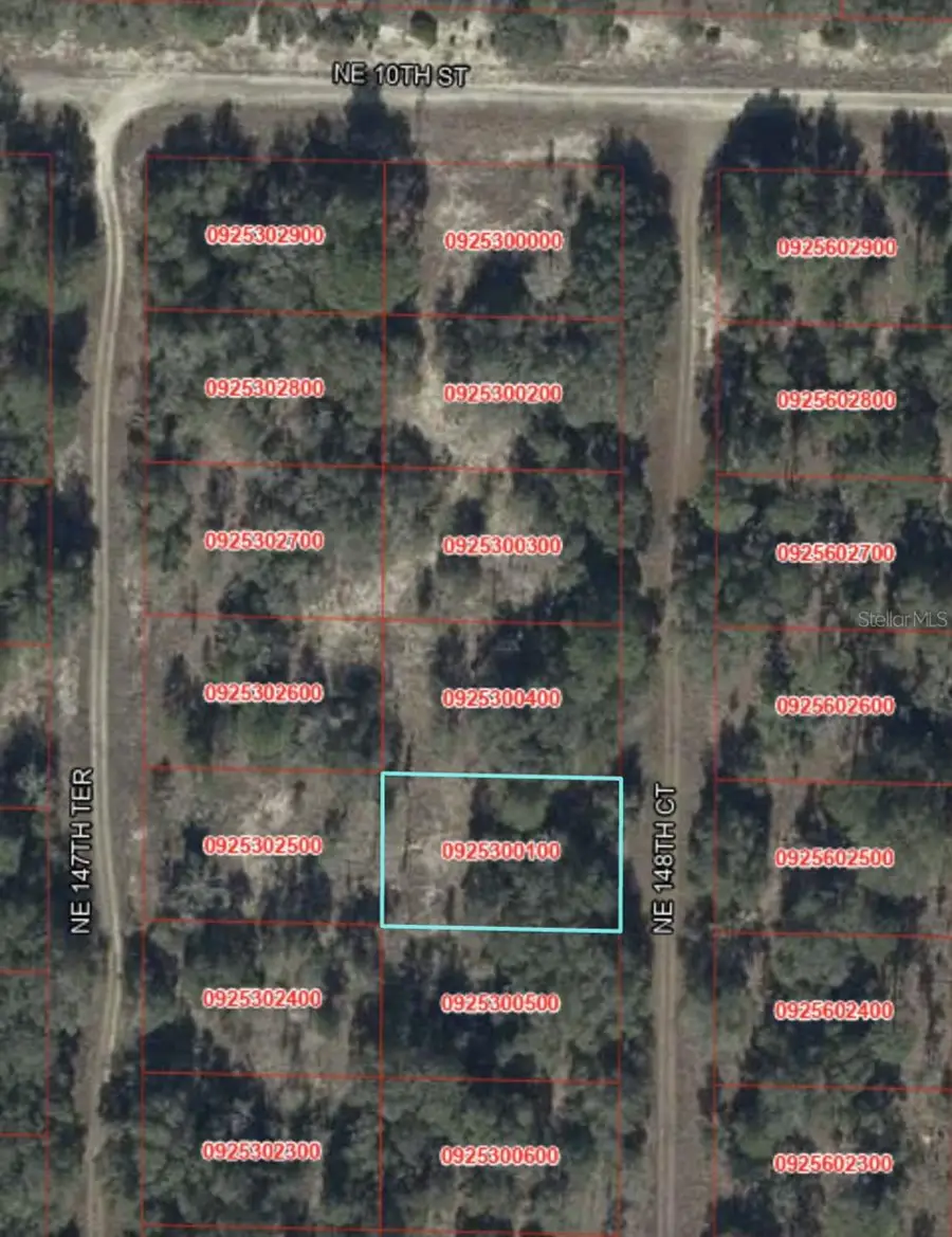 NE 148th Court, Williston, FL 32696 - #3