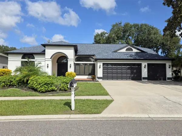 1783 Marsh Wren Way, PALM HARBOR, FL 34683