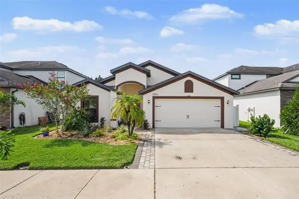 11915 Winterset Cove Drive, RIVERVIEW, FL 33579