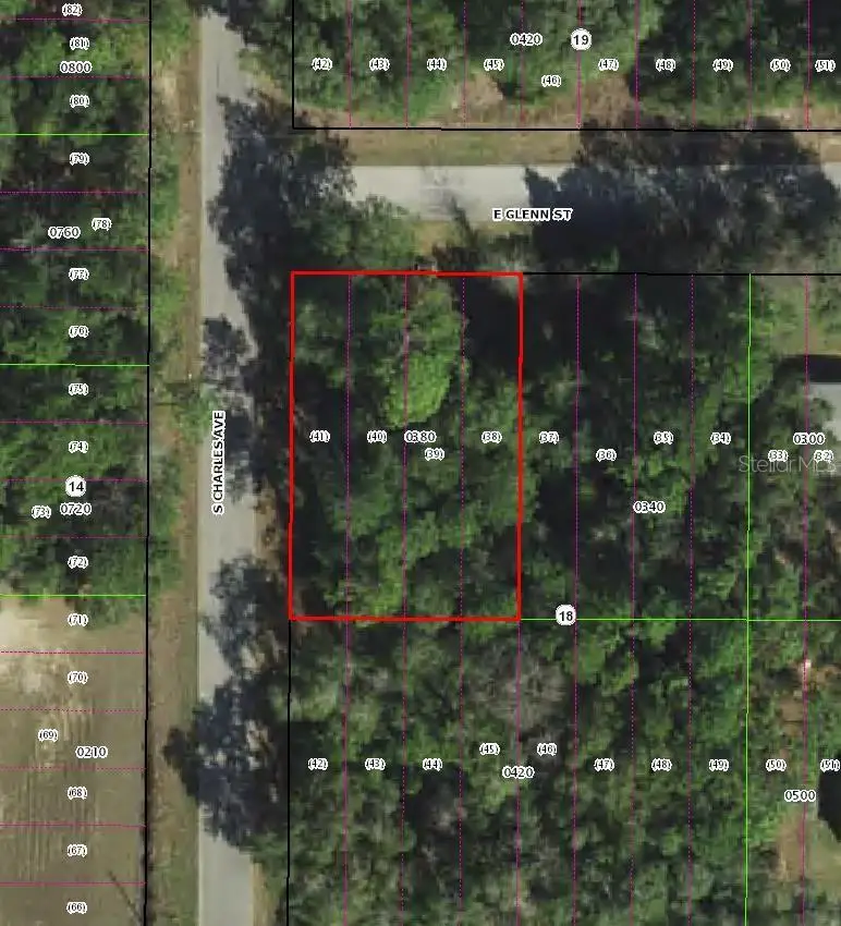 3022 E Glenn Street, Inverness, FL 34453 - #2
