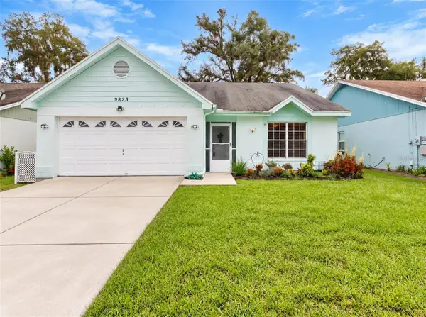 9823 Sir Frederick Street, TAMPA, FL 33637