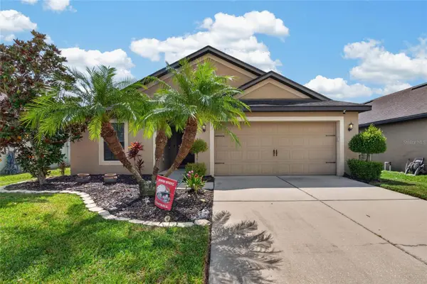 14441 Alistar Manor Drive, WIMAUMA, FL 33598
