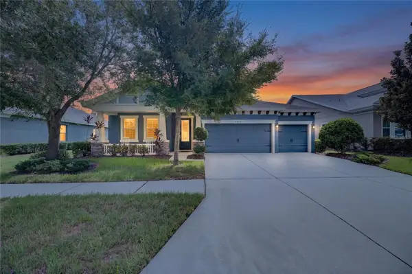 6419 Seasound Drive, APOLLO BEACH, FL 33572
