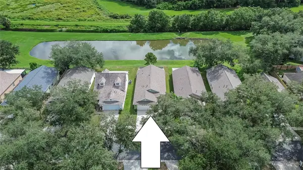 6634 Summer Haven Drive, RIVERVIEW, FL 33578