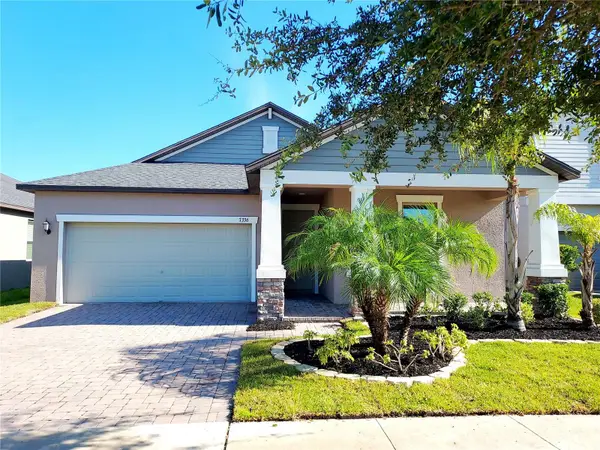 7336 Bagley Cove Court, SUN CITY CENTER, FL 33573