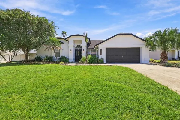 2722 Buckhorn Oaks Drive, VALRICO, FL 33594