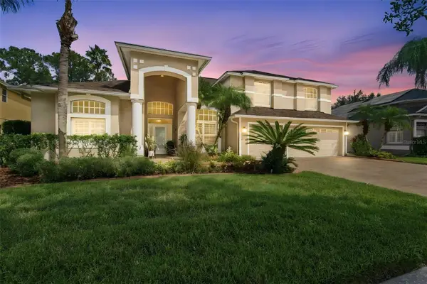 17323 Emerald Chase Drive, TAMPA, FL 33647