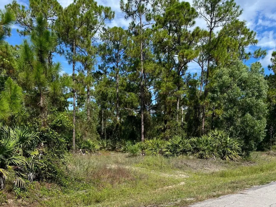 12 Monroe Avenue, Lehigh Acres, FL 33936 - #3