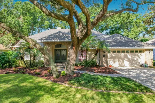 2803 Aston Avenue, PLANT CITY, FL 33566