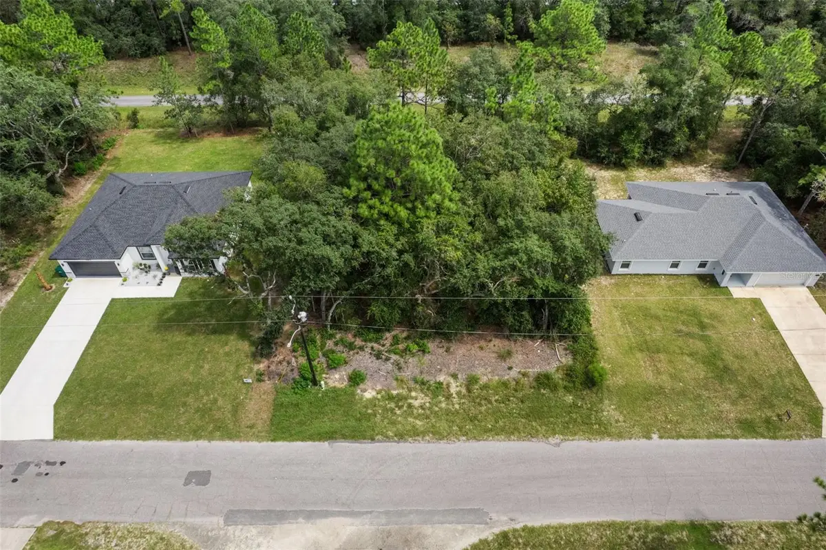 9481 N Sandree Drive, Citrus Springs, FL 34434 - #1