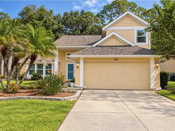709 Jacaranda Drive, OLDSMAR, FL 34677
