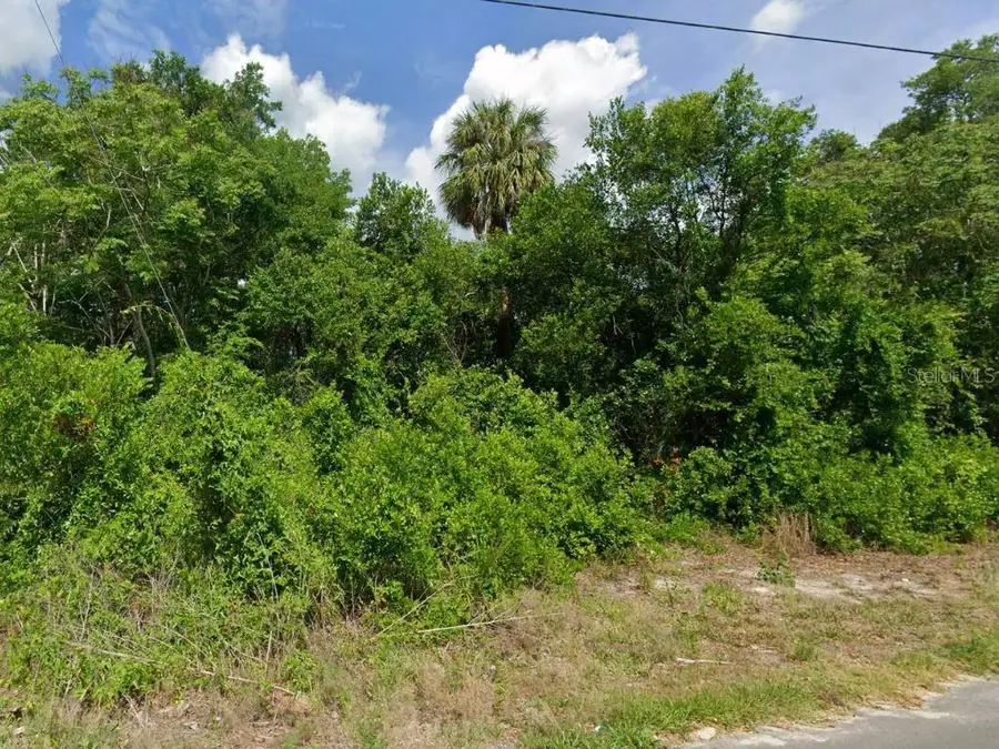 100 S Tern Point, Inverness, FL 34450 - #2