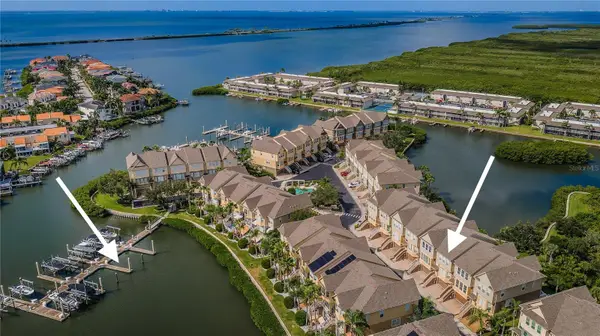 4324 Spinnaker Cove Lane, TAMPA, FL 33615