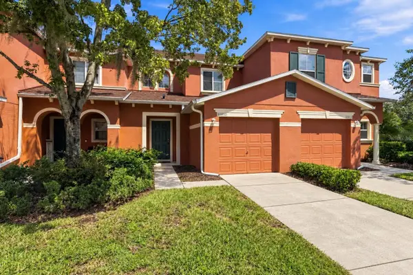 10810 Johanna Avenue, RIVERVIEW, FL 33578