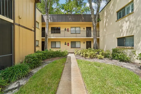 11722 Raintree Lake Lane #D, TEMPLE TERRACE, FL 33617