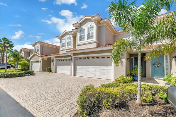 1344 Ribolla Drive, PALM HARBOR, FL 34683
