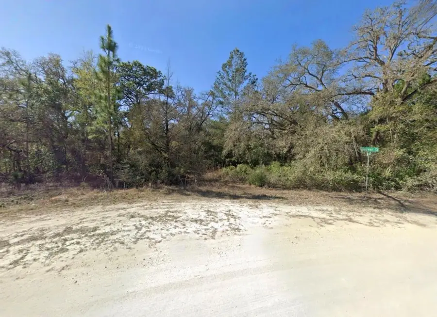 11284 Cleever Street, Weeki Wachee, FL 34614 - #2