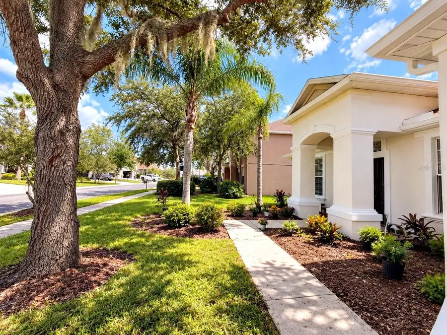 27042 Firebush Drive, Wesley Chapel, FL 33544 - #2
