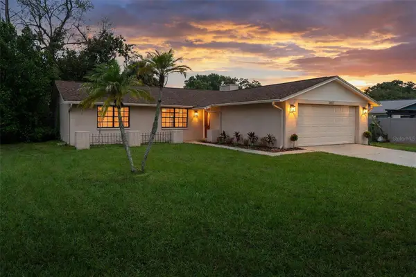 1417 Foggy Ridge Parkway, LUTZ, FL 33559