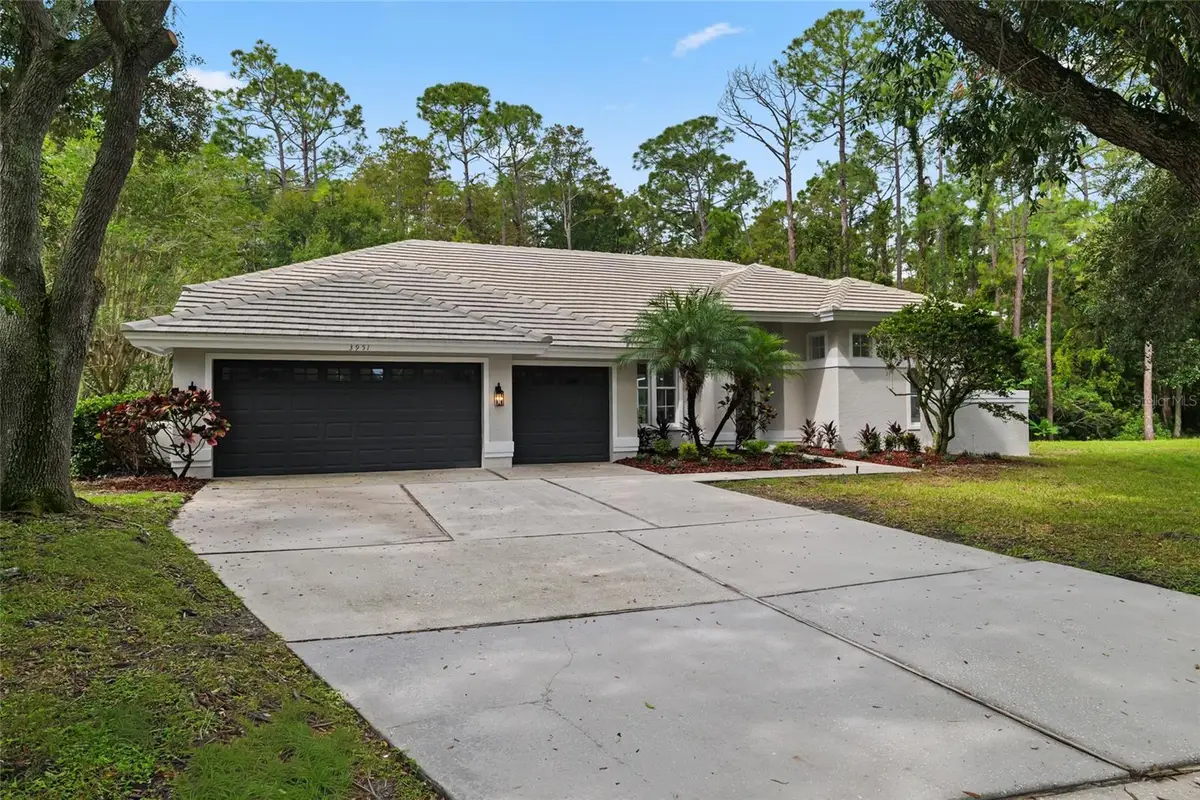 3951 Brightside Lane, Palm Harbor, FL 34685 - #1