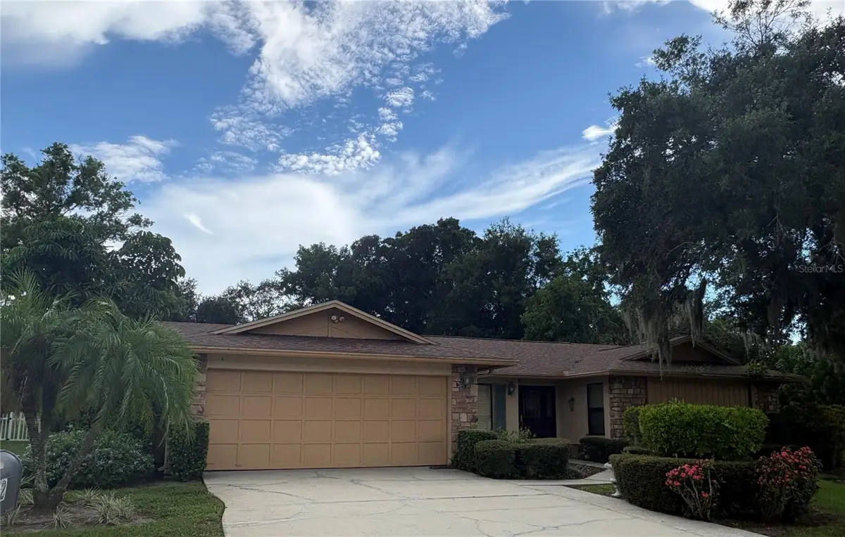 862 Pinewood Terrace W, Palm Harbor, FL 34683 - #1