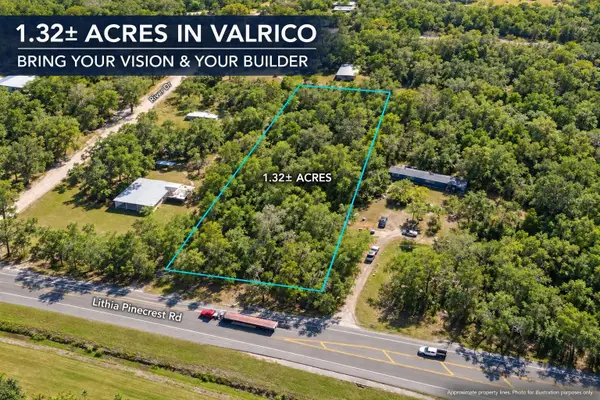 Lithia Pinecrest Road, VALRICO, FL 33596