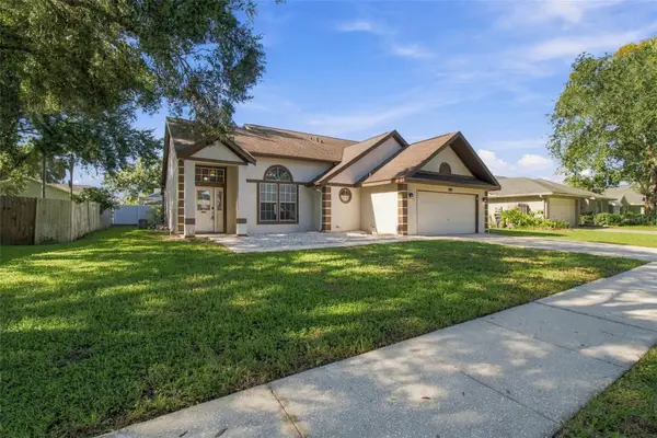 5822 Bitter Orange Avenue, TAMPA, FL 33625