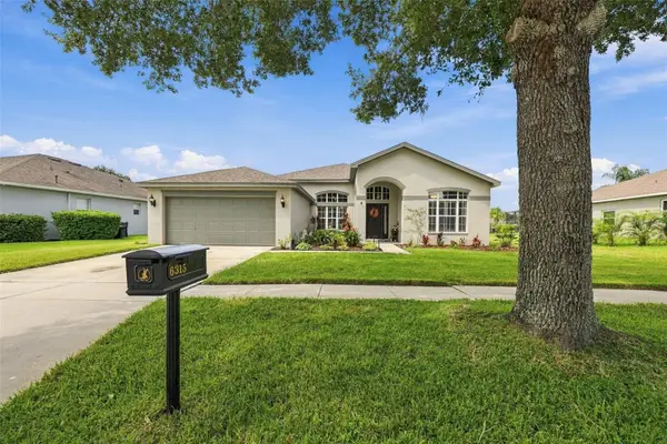 6315 Bridgevista Drive, LITHIA, FL 33547