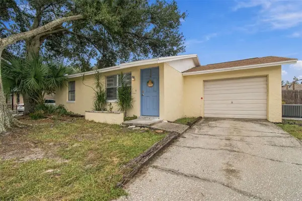 8406 Willow Forest Court, TAMPA, FL 33634