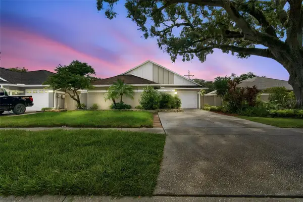 11905 Hickorynut Drive, TAMPA, FL 33625