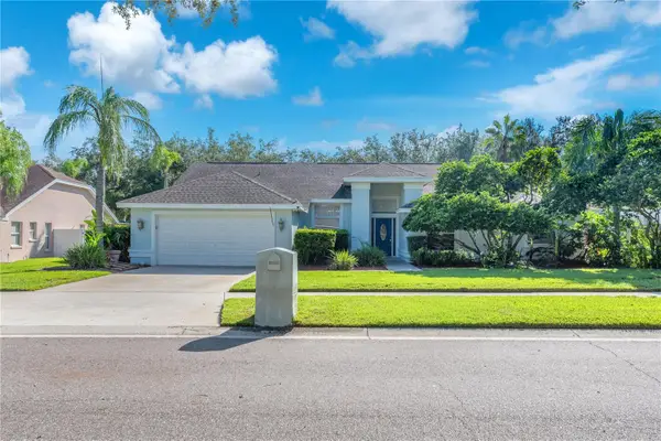 4008 Eagles Nest Drive, VALRICO, FL 33596