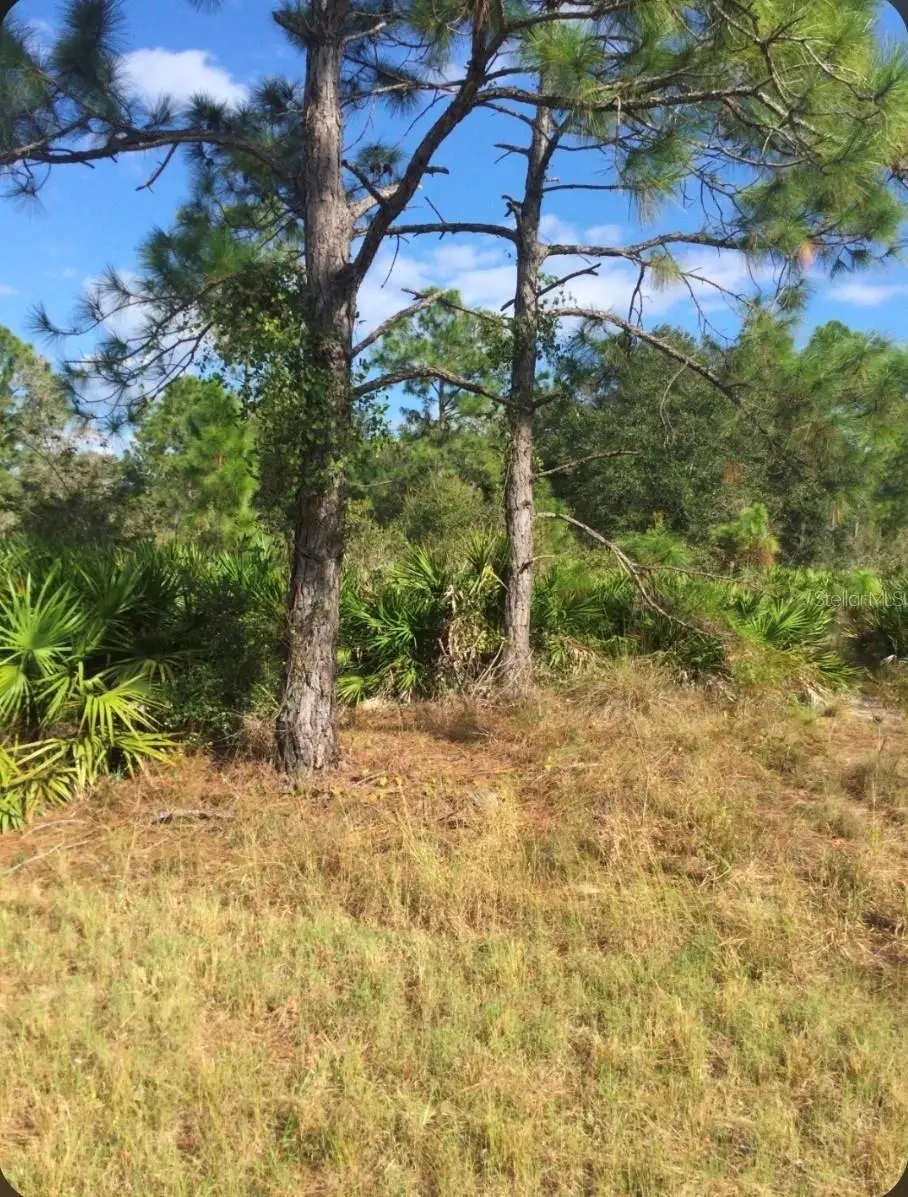 1604 5th Avenue, Lehigh Acres, FL 33972 - #1