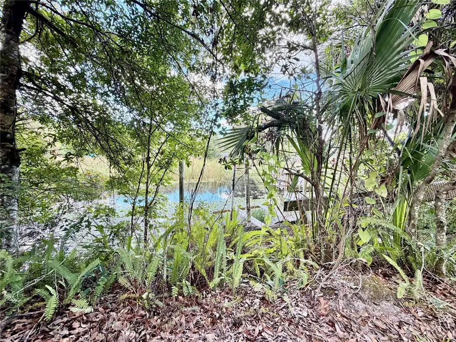 6464 Arbutus Avenue, Weeki Wachee, FL 34607 - #3
