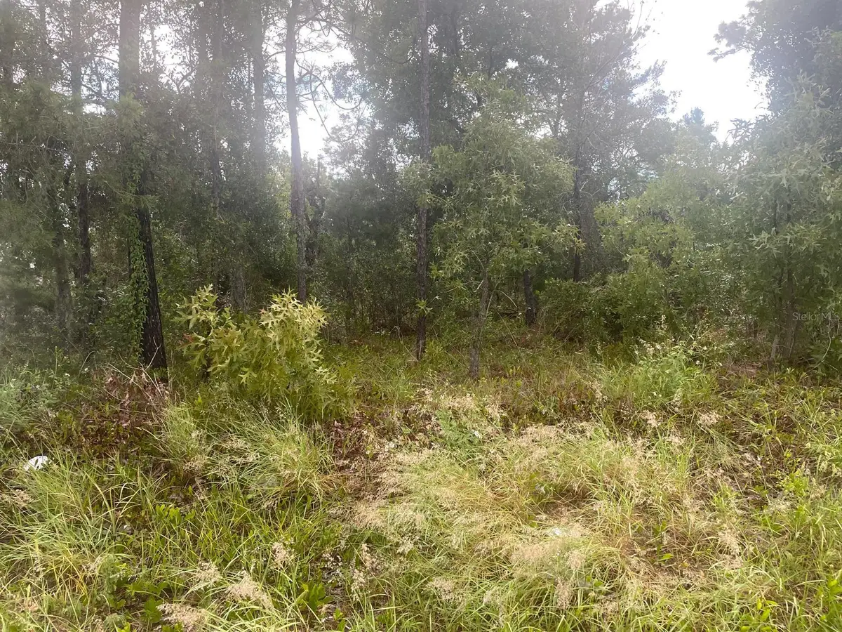 Address Withheld By Seller, Spring Hill, FL 34609 - #1