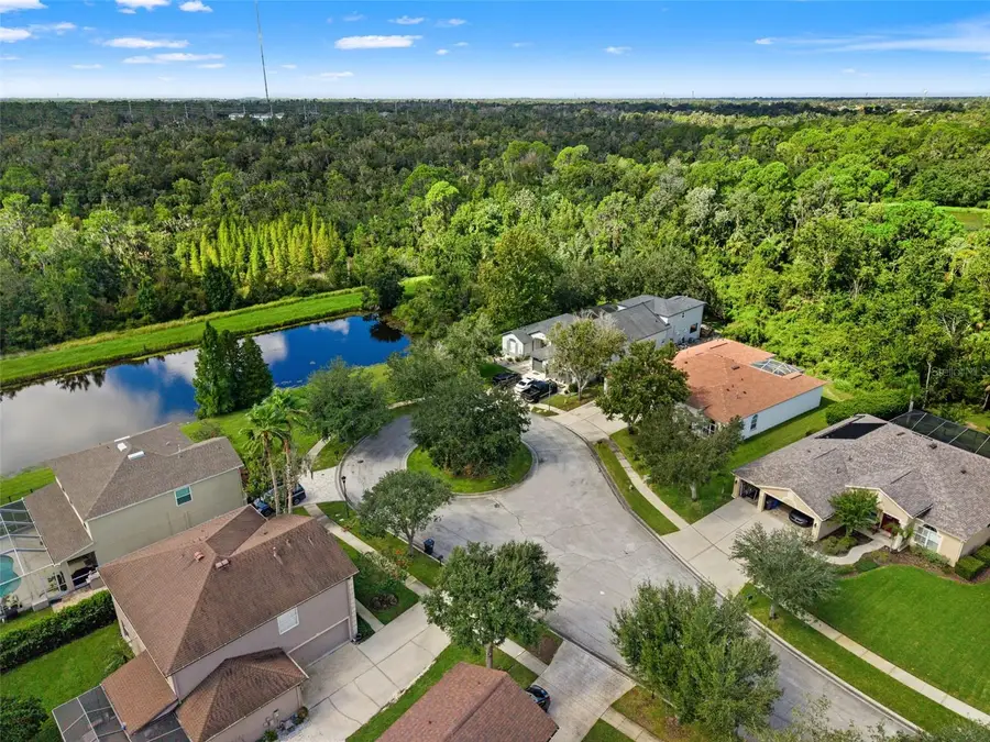 6111 Heroncrest Court, Lithia, FL 33547 - #3