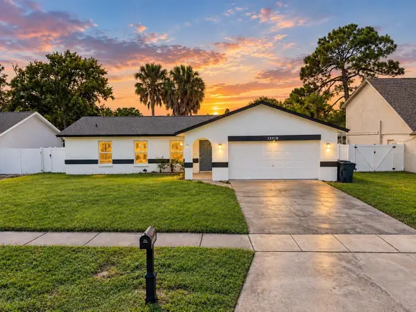 13918 Briardale Lane, TAMPA, FL 33618
