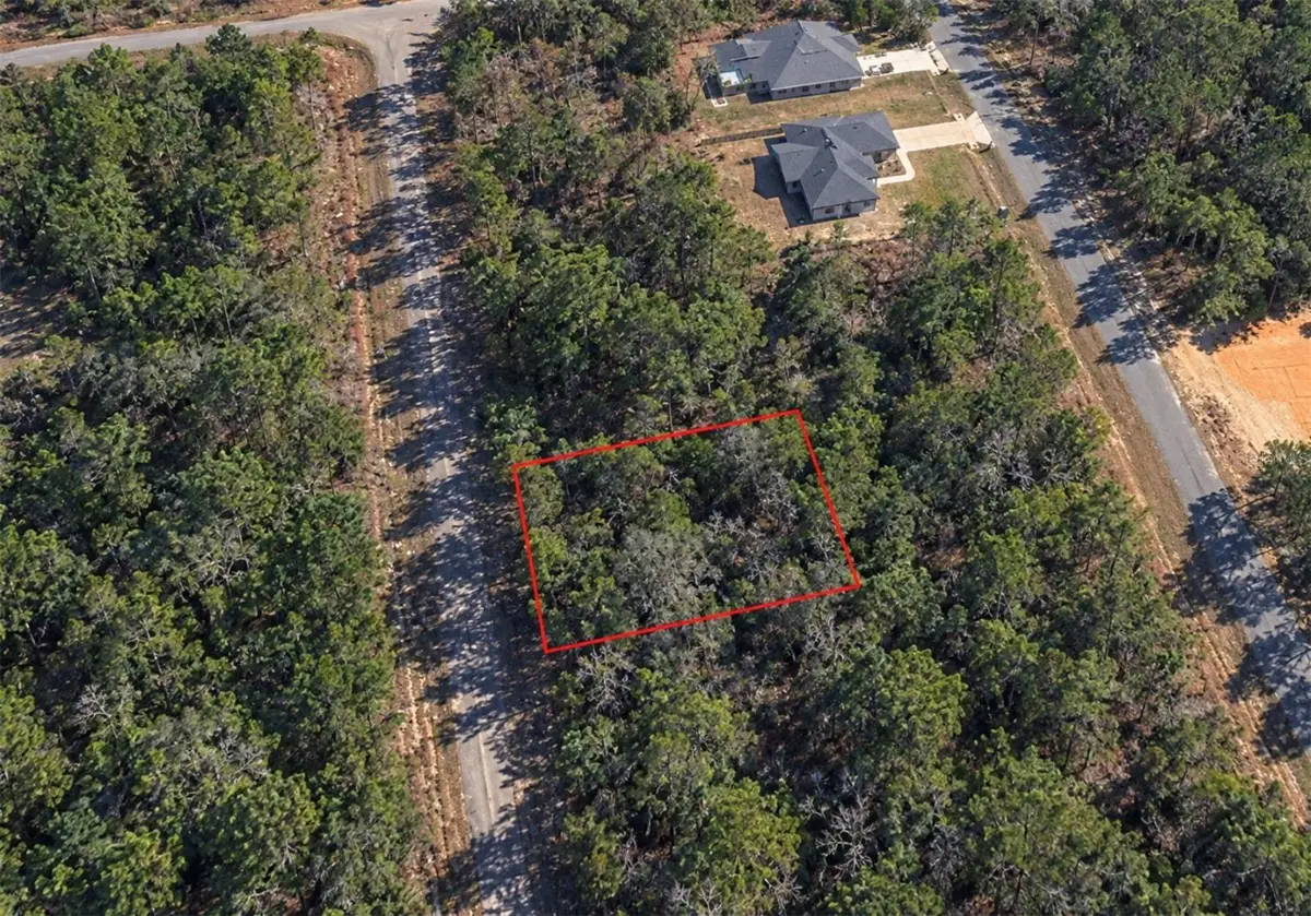 1602 W Hialeah Drive, Citrus Springs, FL 34434 - #1