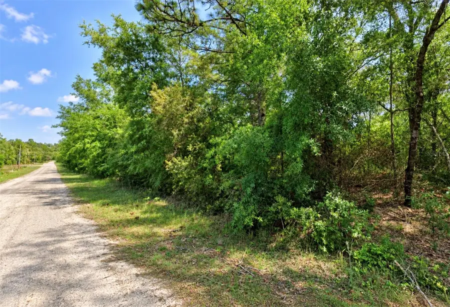 1602 W Hialeah Drive, Citrus Springs, FL 34434 - #2