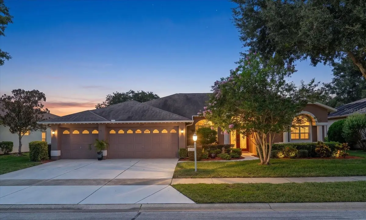 1237 Rambling Vine Court, Trinity, FL 34655 - #1