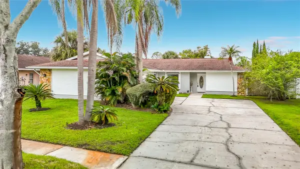 5118 Brynn Mawr Drive, TAMPA, FL 33624
