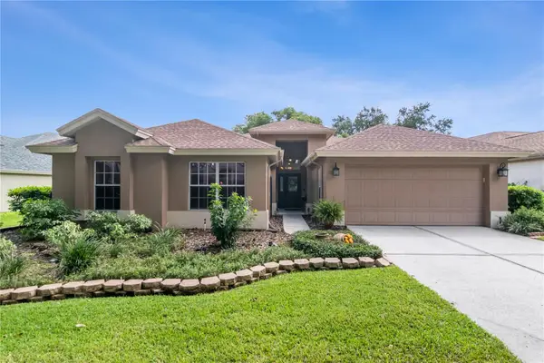 3134 Bent Creek Drive, VALRICO, FL 33596