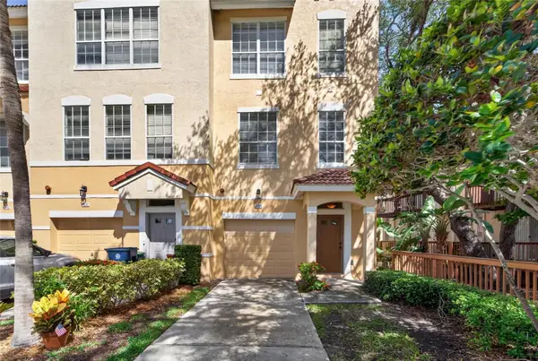 3186 Bayshore Oaks Drive, TAMPA, FL 33611