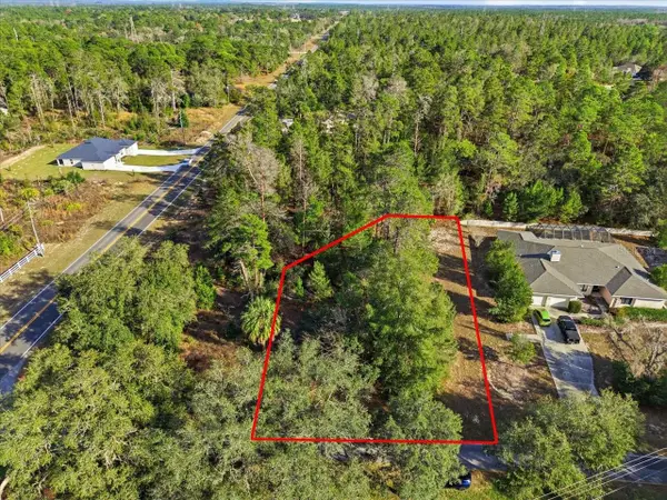 118 Oak Village Boulevard, HOMOSASSA, FL 34446