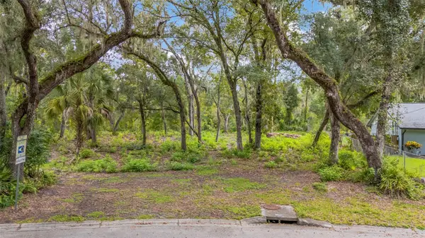11731 Gail Drive, TEMPLE TERRACE, FL 33617