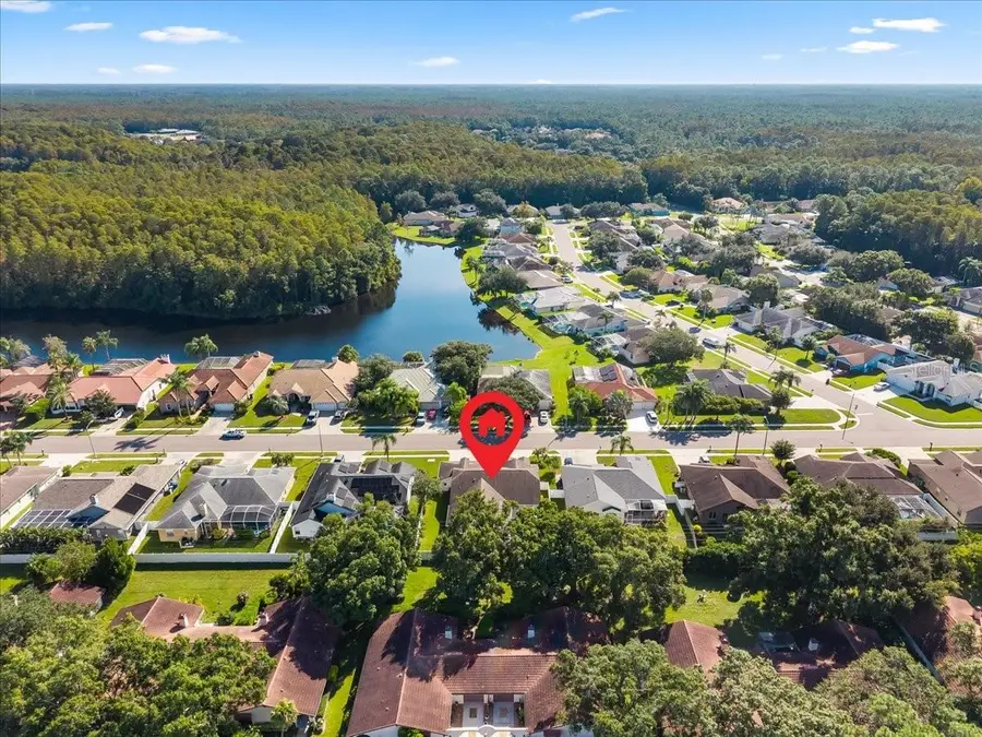 2656 Saddlewood Lane, Palm Harbor, FL 34685 - #2