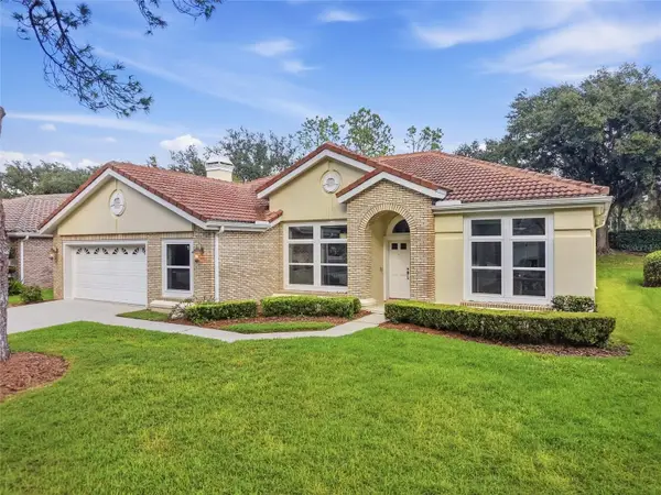 17911 Holly Brook Drive, TAMPA, FL 33647