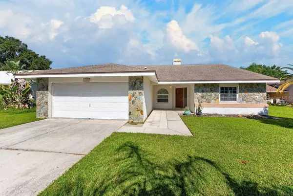 12007 Misty Brook Court, TAMPA, FL 33635