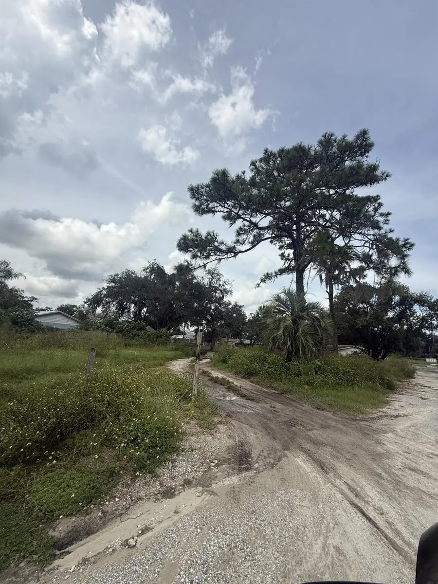 6042 Lewis Drive, Zephyrhills, FL 33542 - #2
