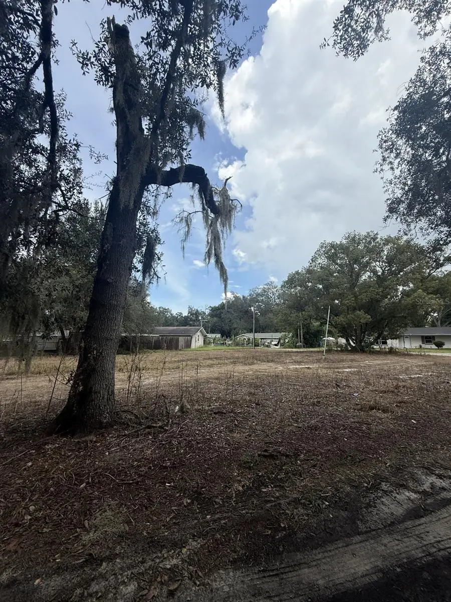 6042 Lewis Drive, Zephyrhills, FL 33542 - #3