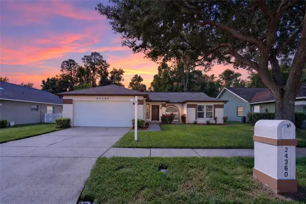 24360 Twin Lake Drive, LAND O LAKES, FL 34639